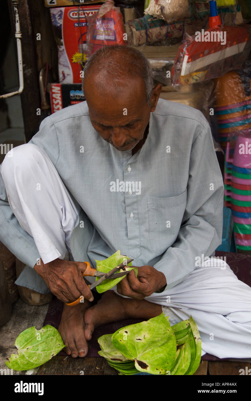 Ein Mann schneidet mit einer Schere in Pahar Ganj, Neu Delhi, Indien Betelblätter für Paan. Stockfoto