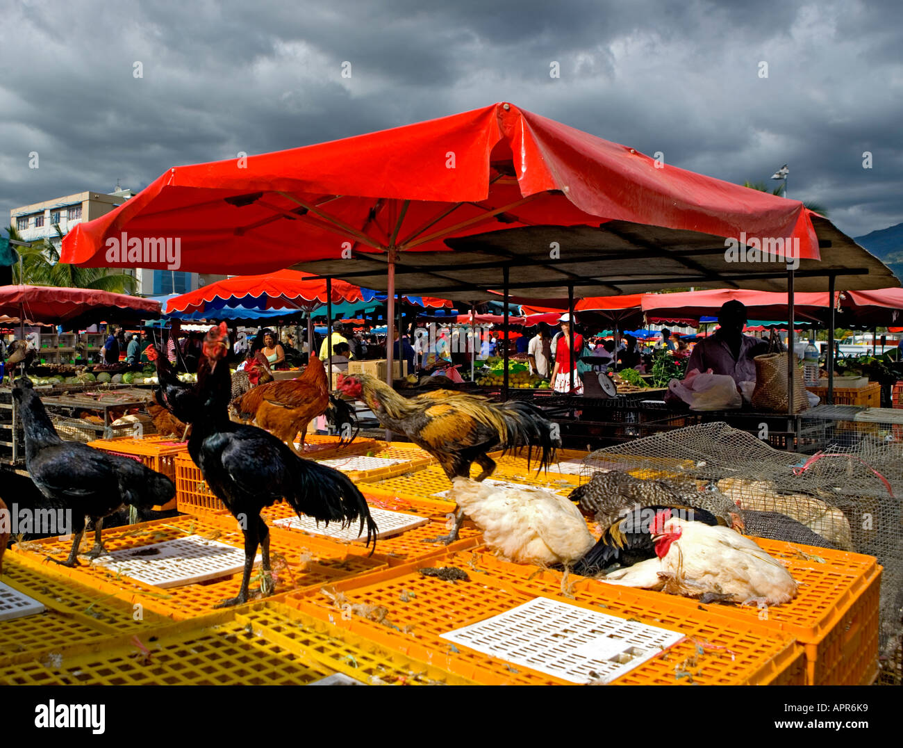 Stall zu verkaufen Hühner auf Chaudron Markt in Saint-Denis, Réunion Stockfoto