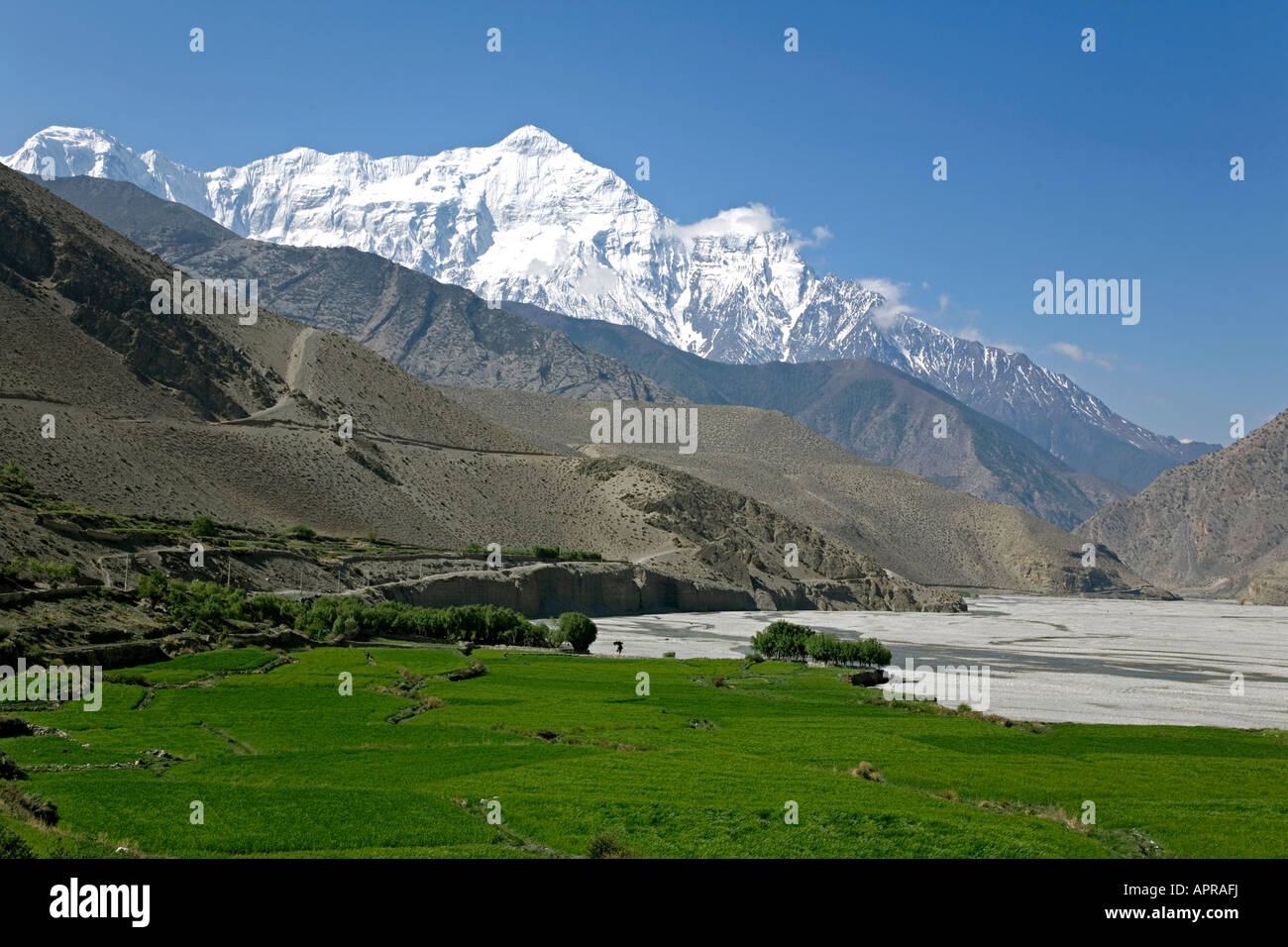 Nilgiri Nord (7061m). In der Nähe von Kagbeni Dorf. Annapurna Circuit Trek. Mustang. Nepal Stockfoto