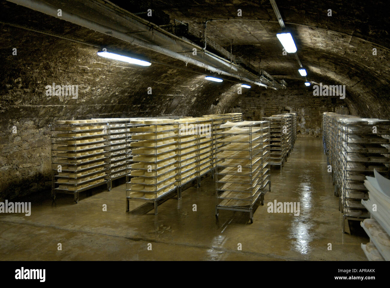 Keller von französischem Käse in der Auvergne. Frankreich Stockfoto