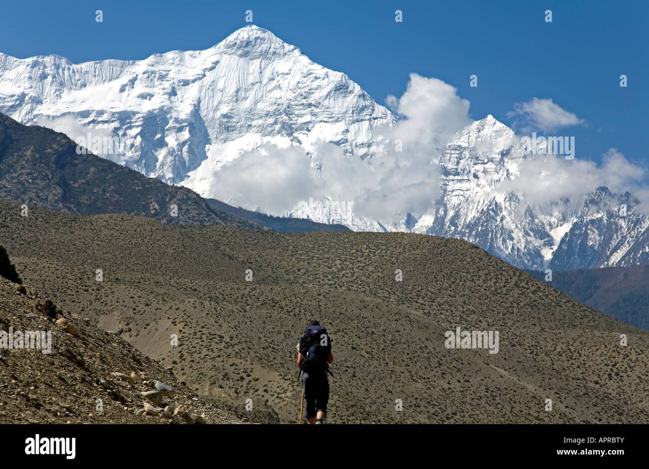 Nilgiri Nord (7061m). Annapurna Circuit Trek. In der Nähe von Kagbeni Dorf. Mustang. Nepal Stockfoto