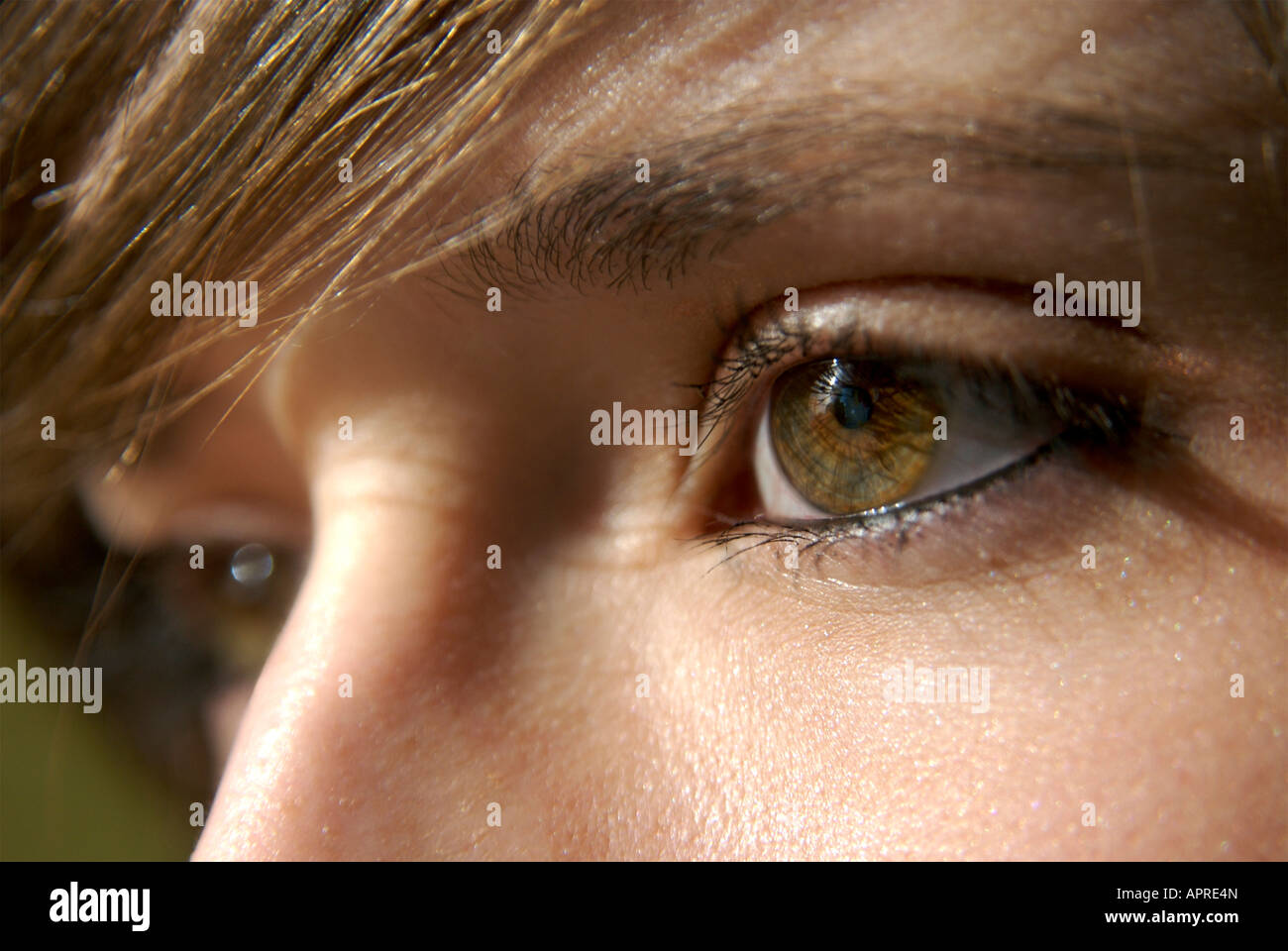 Braun oder Haselnuß Auge Augen einer Frau close up Stockfoto