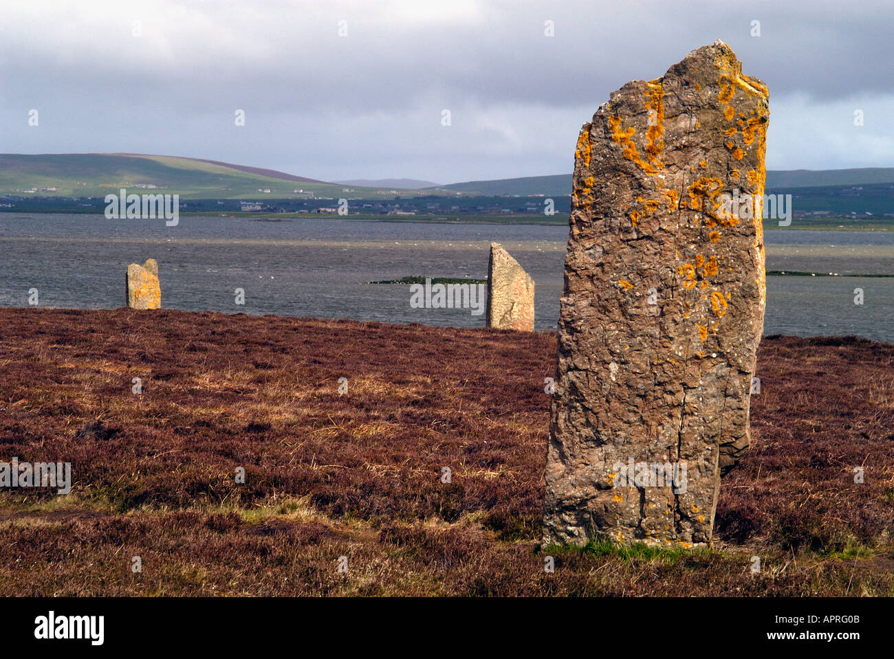Ring von Brodgar Stone circle Orkney Festland Schottland im Mai Stockfoto