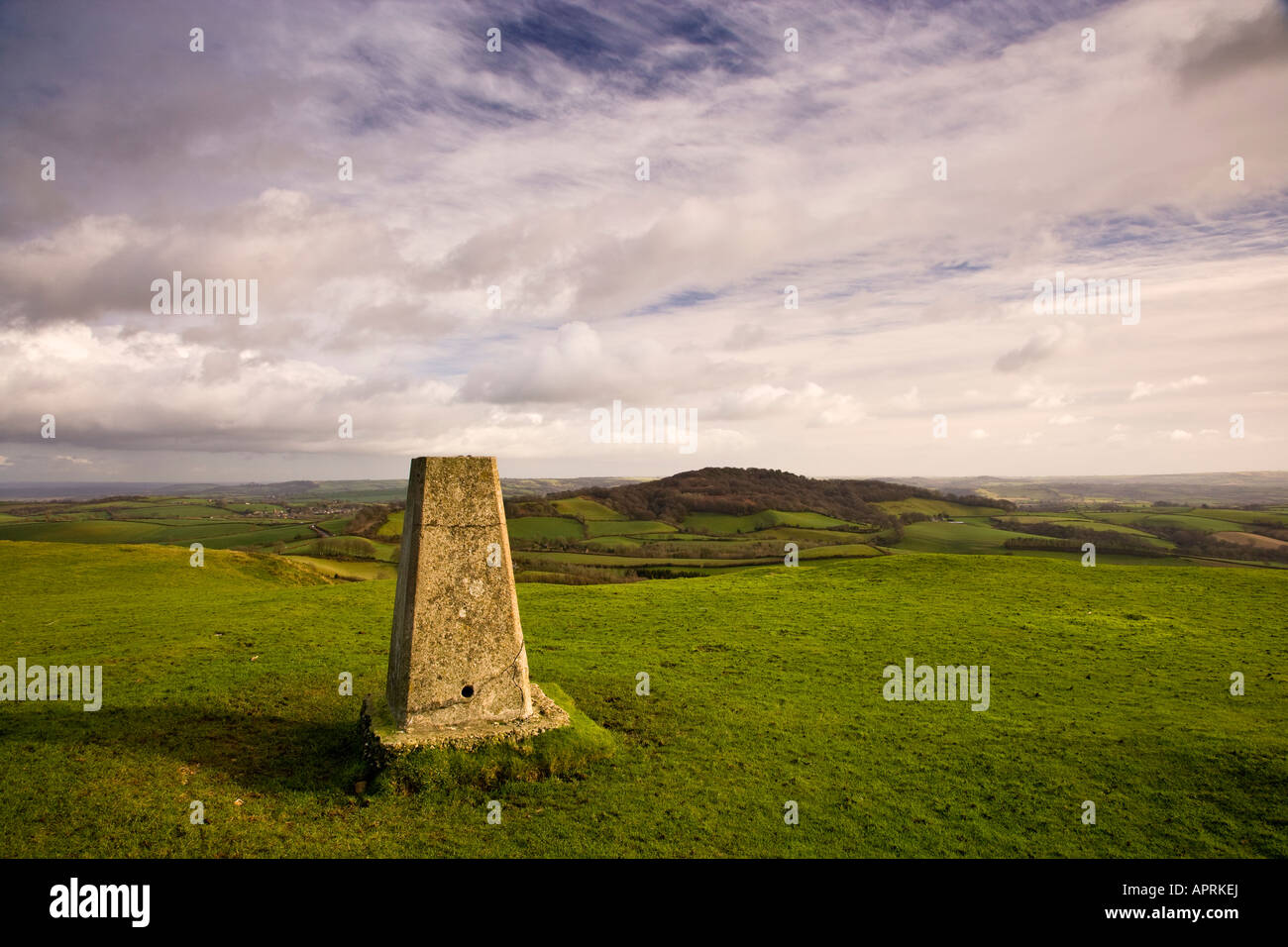 Triglyzerid Punkt, Pilsdon Pen, Dorset, Großbritannien Stockfoto