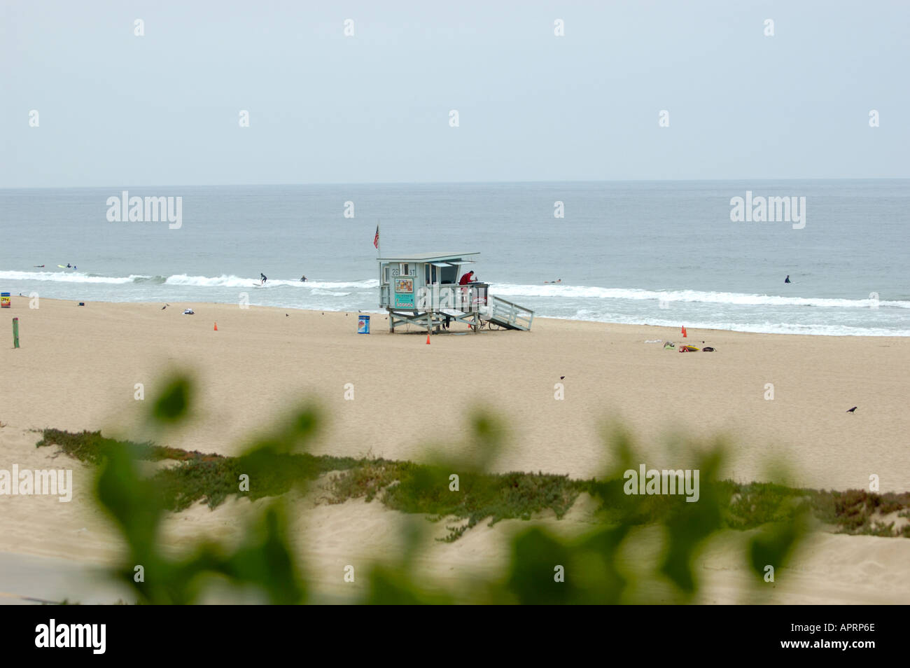 Rettungsschwimmer-Turm Manhattan Beach CaliforniaPlants im Vordergrund Stockfoto