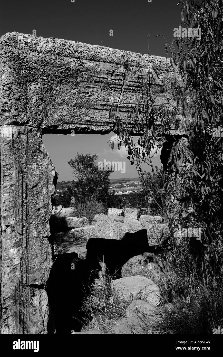 Synagoge von Meron Stockfoto