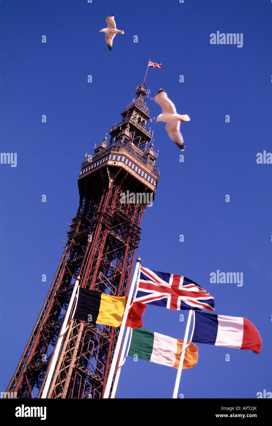 Blackpool Tower und europäischen Flaggen, Blackpool, Lancashire, England Stockfoto