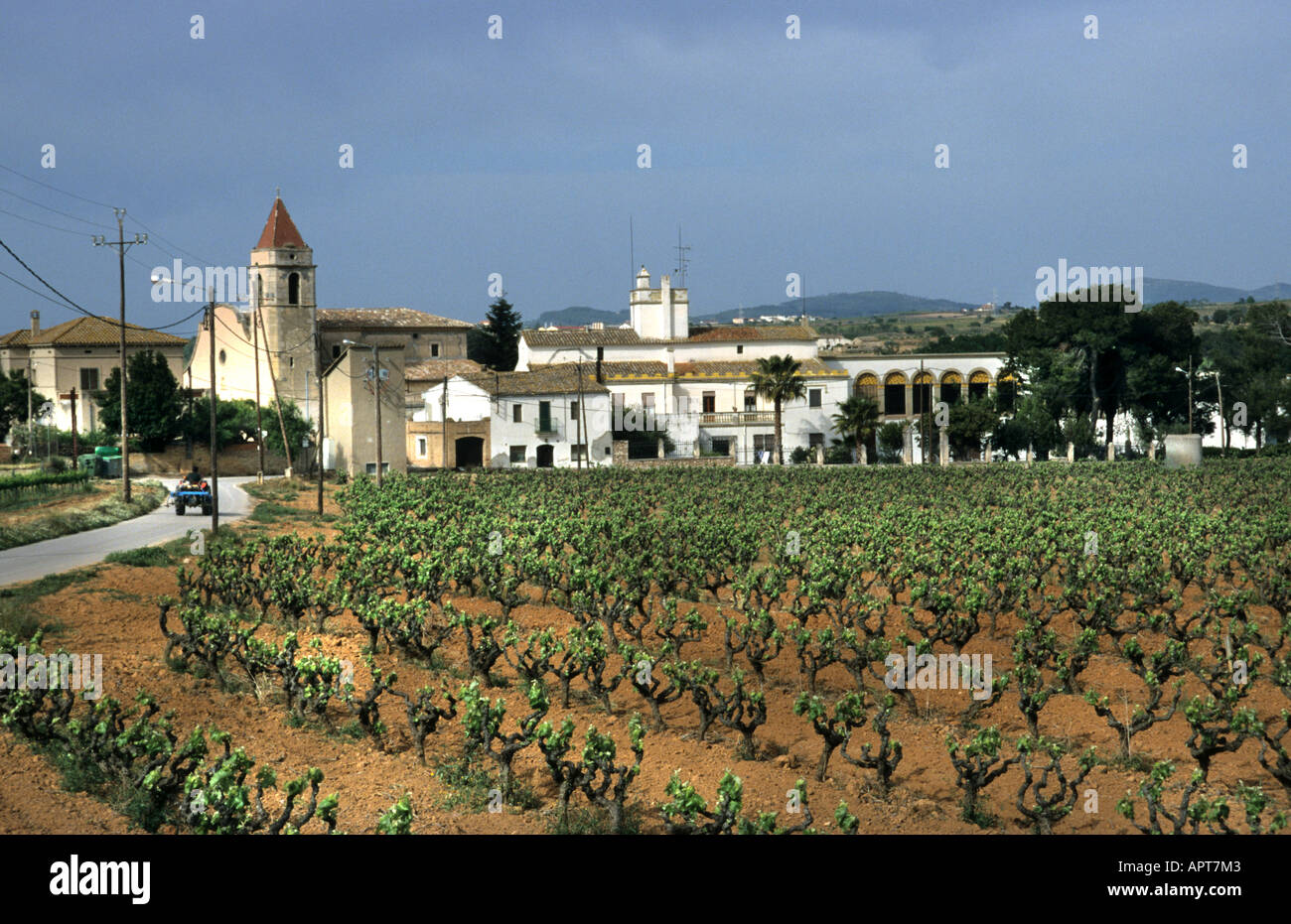 Penedes Spanien Spanisch Wein Weinberg Weingut vintage Stockfoto