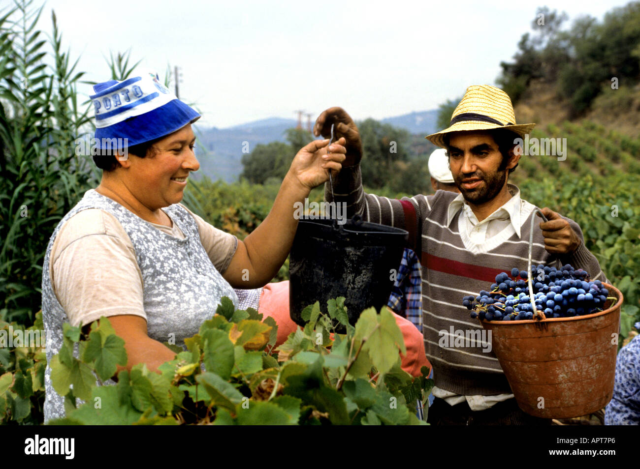 Portugal Wein Vino Verde Trauben Vintage Frauen Stockfoto