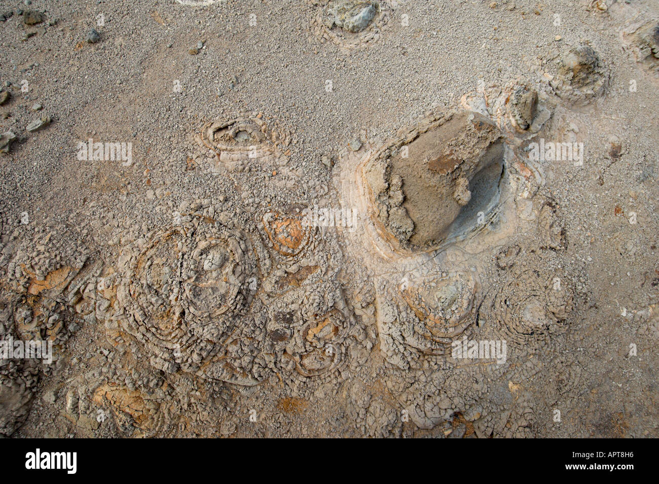Vulkanischen Lapilli Boden und Böden am Cabo Sao Lourenço, Madeira, Portugal Stockfoto