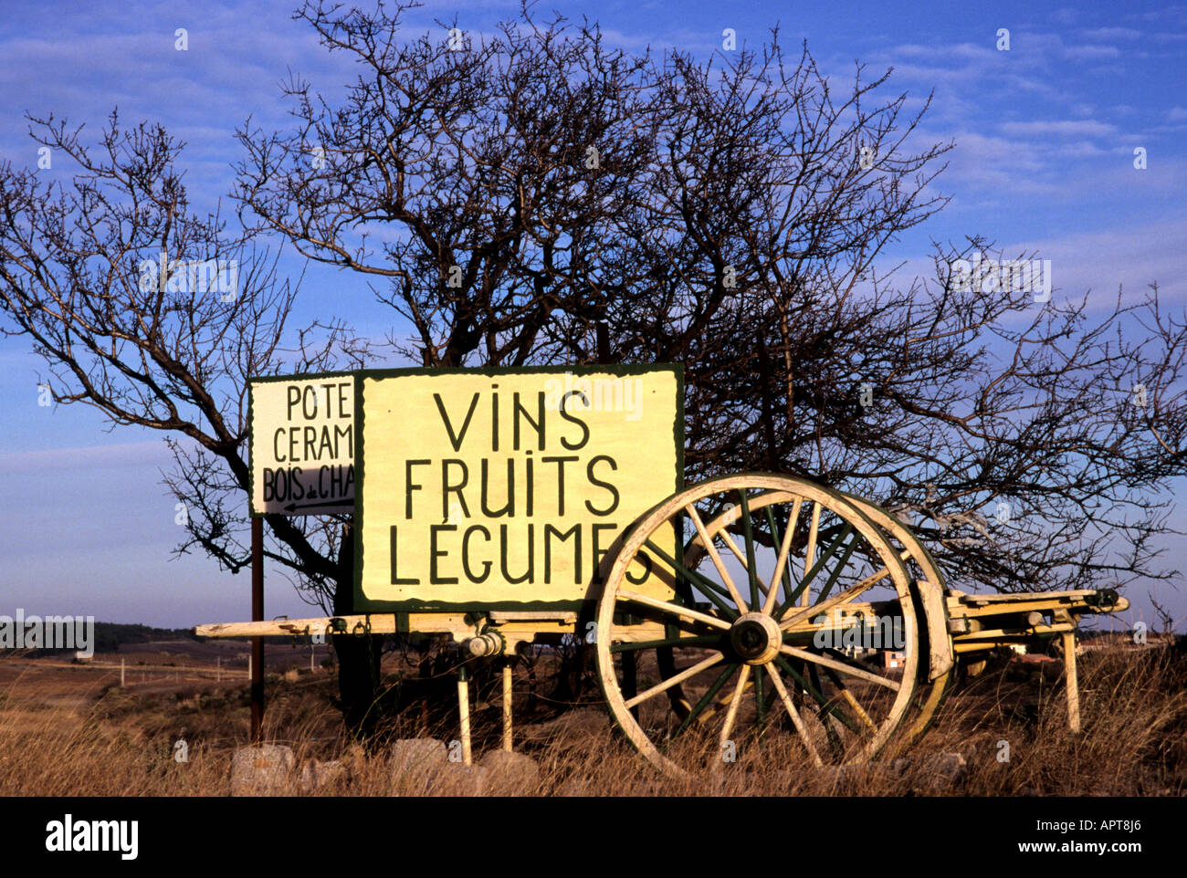 Frankreich französische Vins Warenkorb bei Obst und Gemüse Stockfoto