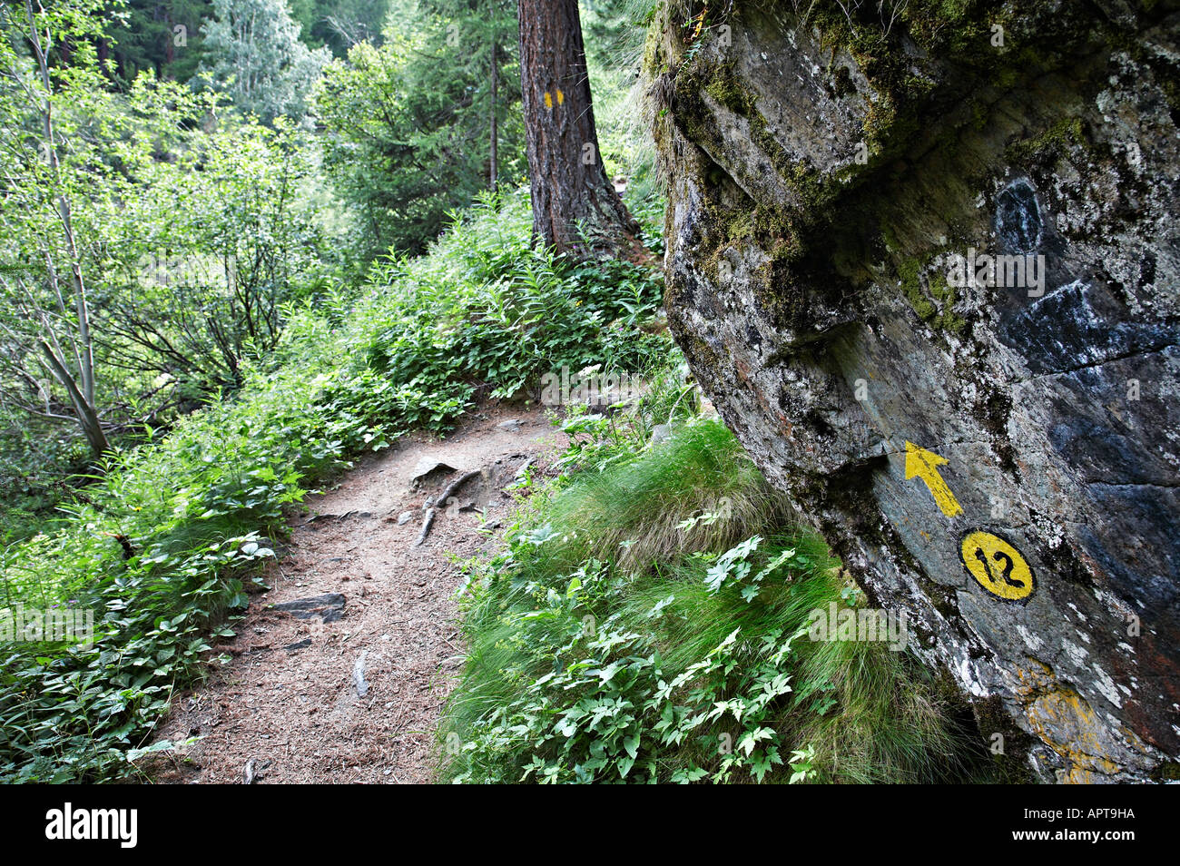 Linie 12 13G und 13 nach Lac Loie Gran Paradiso Nationalpark Italien Stockfoto
