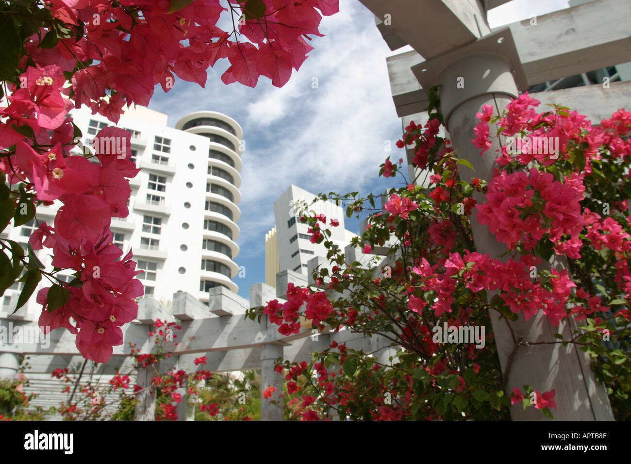 Miami Beach Florida, South Beach, Ocean Drive, Hotel, Eigentumswohnungen, Wohnungen, Wohnungen, Vermietungen, Investitionen, eingerahmt von roten tropischen Blumen, Blumen, Laube, FL101 Stockfoto