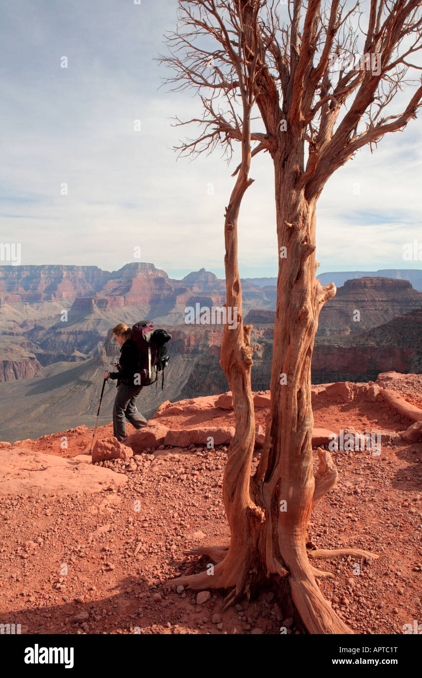 WEIBLICHE BACKPACKER WANDERN SOUTH KAIBAB TRAIL IN CEDAR RIDGE IM GRAND CANYON NATIONAL PARK ARIZONA USA Stockfoto