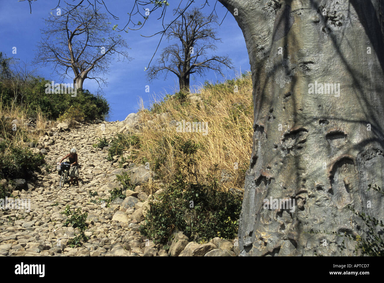 Malawi Ostafrika Radfahrer senkt einen steinigen Weg sich auf Likoma Insel Stockfoto