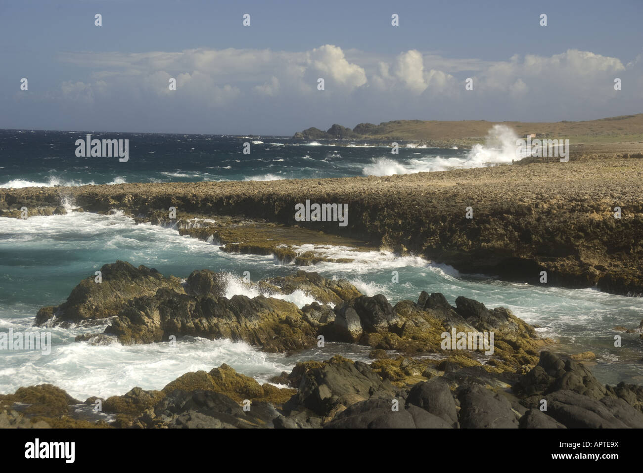 Felsigen North Shore von Aruba in der Nähe von Boca Andicuri Stockfoto