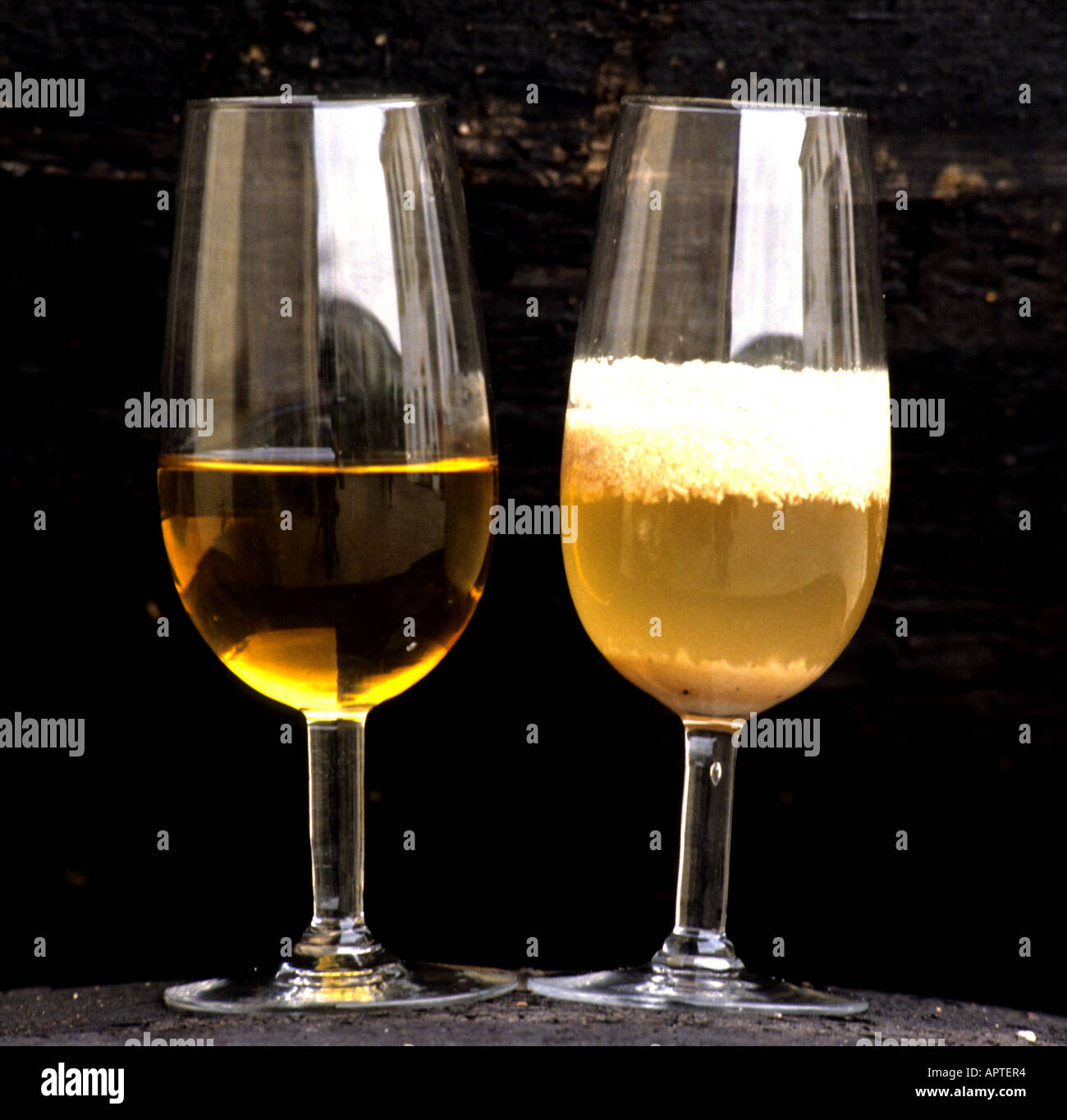 Spanien Spanisch Wein Sherry Flor Flore Fino Jerez Stockfoto