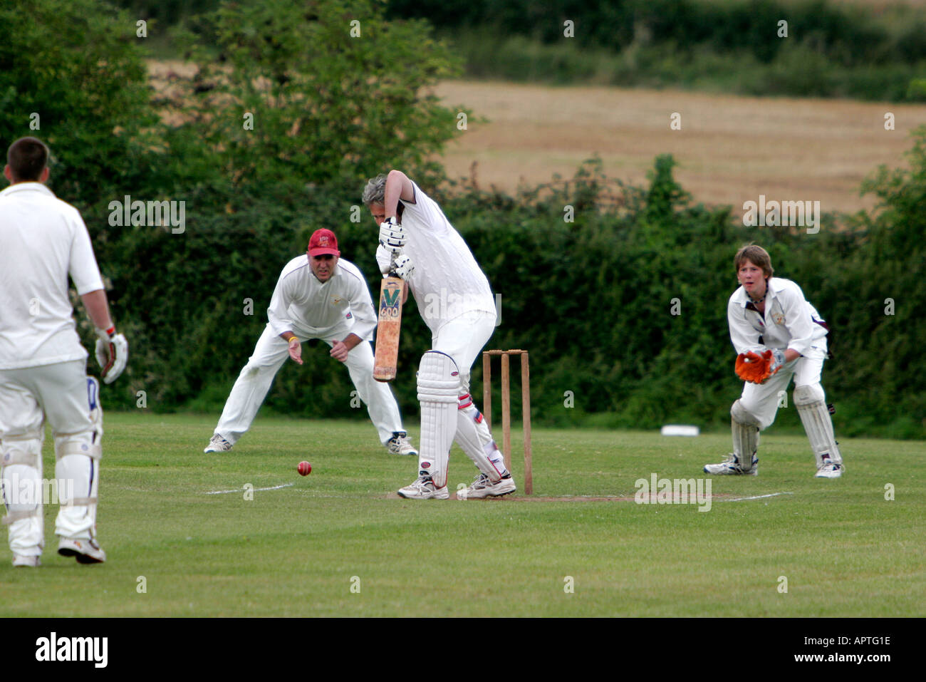 Dorf-Cricket-Spiel im Gange Stockfoto