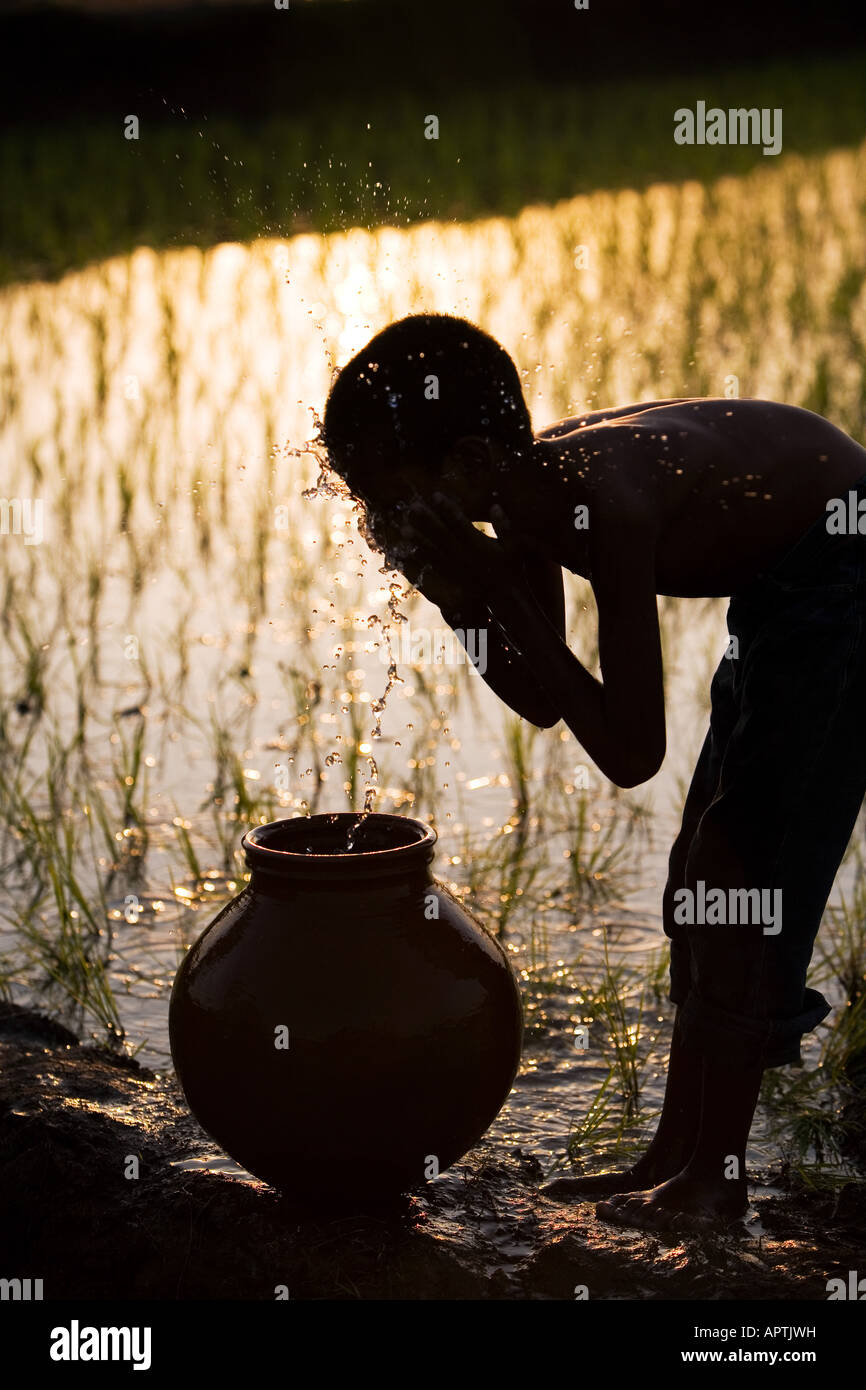 Silhouette von einem indischen Dorf junge Gesicht waschen aus einem Tontopf neben einem Reisfeld Paddy. Andhra Pradesh, Indien Stockfoto