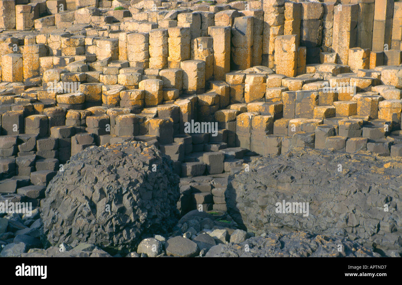 Basaltsäulen am Giants Causeway-Nordirland Stockfoto