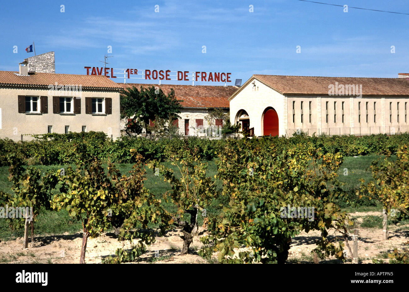 Tavel Cotes du Rhone Rose Frankreich Wein Ernte Vintage Trauben Weinberg Landwirtschaft Stockfoto