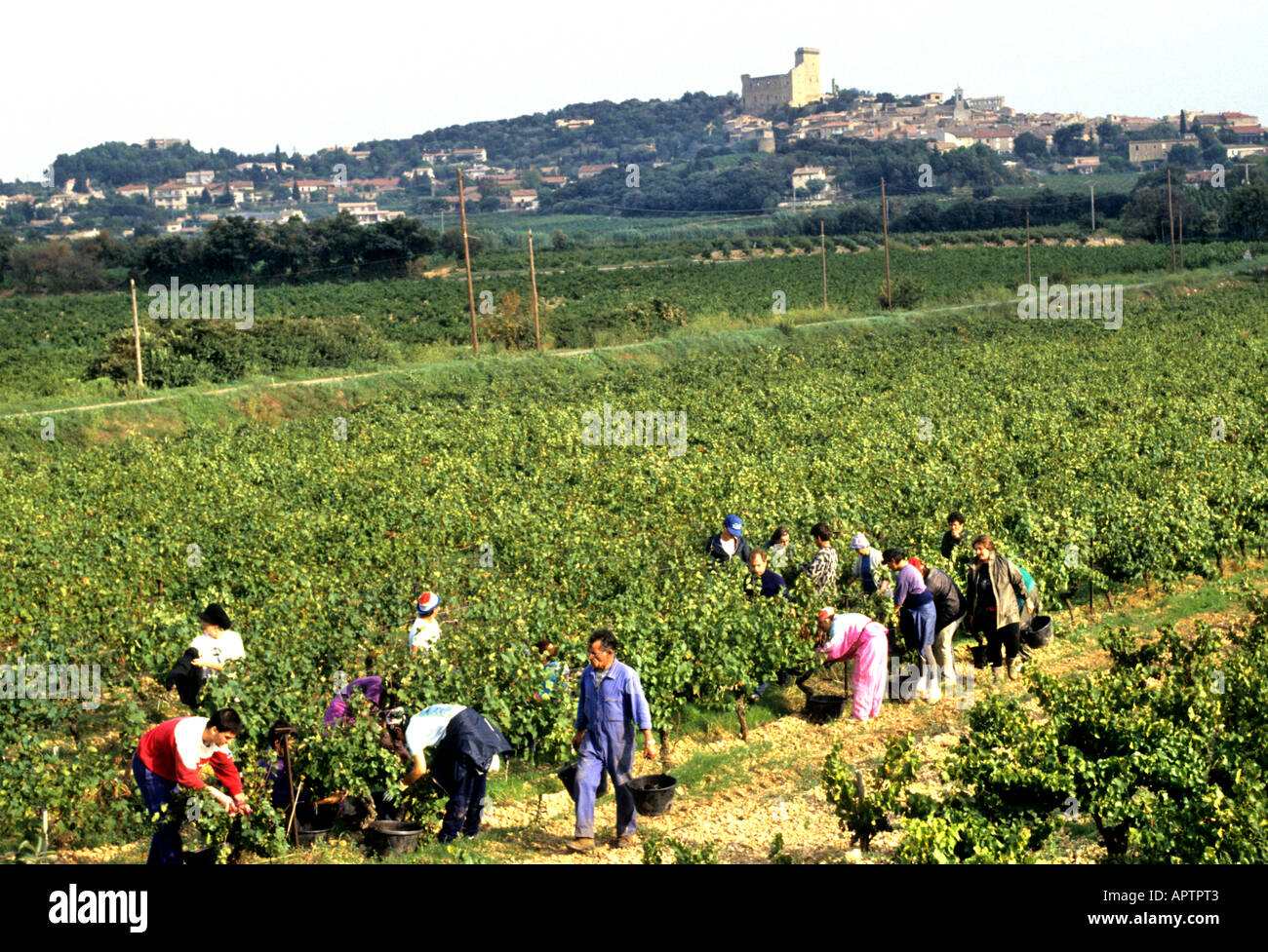Chateau Neuf du Pape Cotes Du Rhone Stockfoto