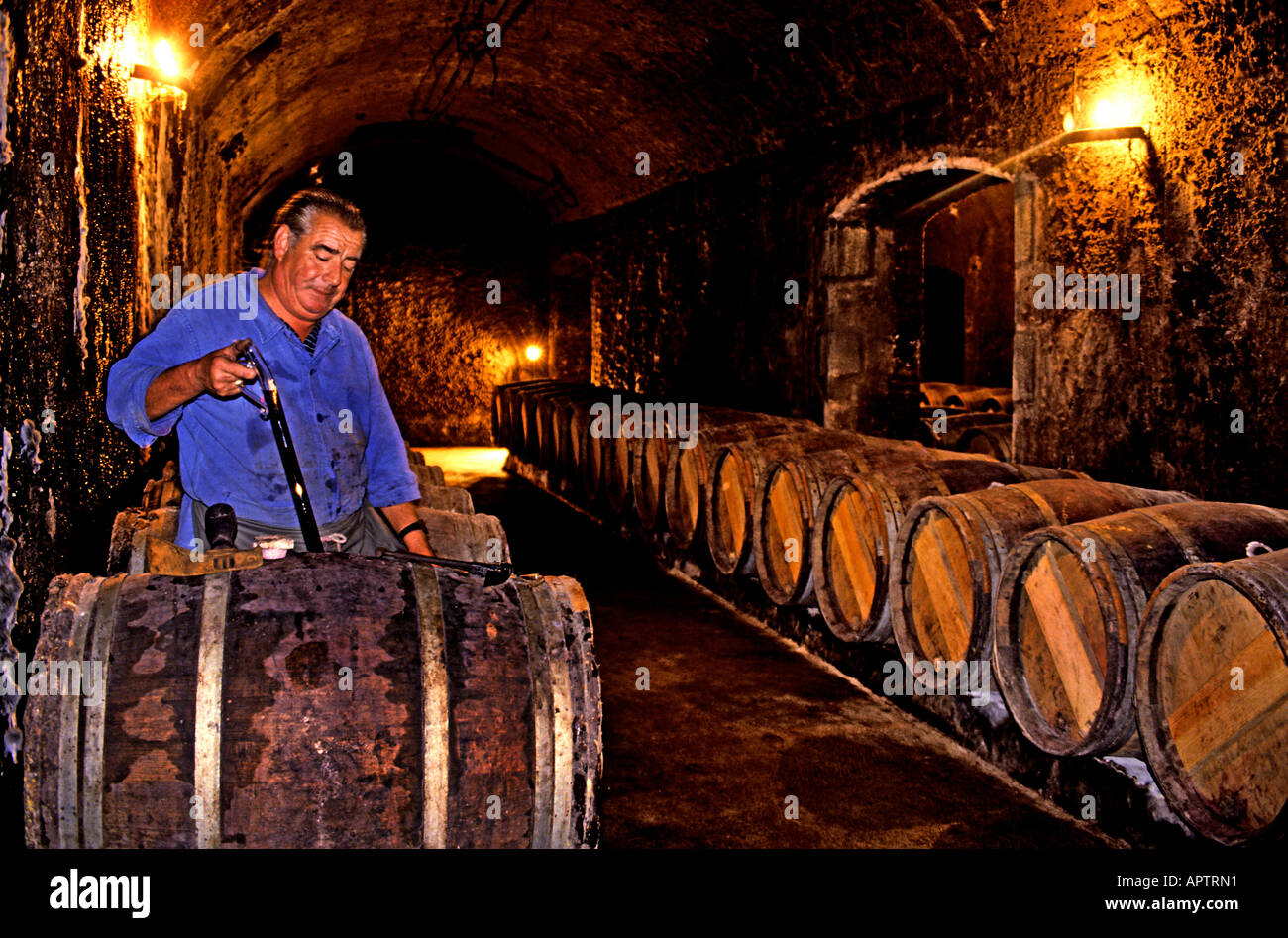 Pontet Canet Kellermeister Chateau Medoc Keller Fass Wein Abfüller Produktion Stockfoto