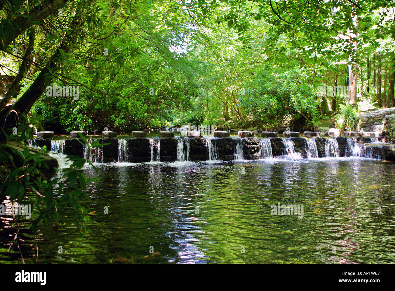 Die Trittsteine in Tollymore Forest Park in Newcastle Co Down Stockfoto