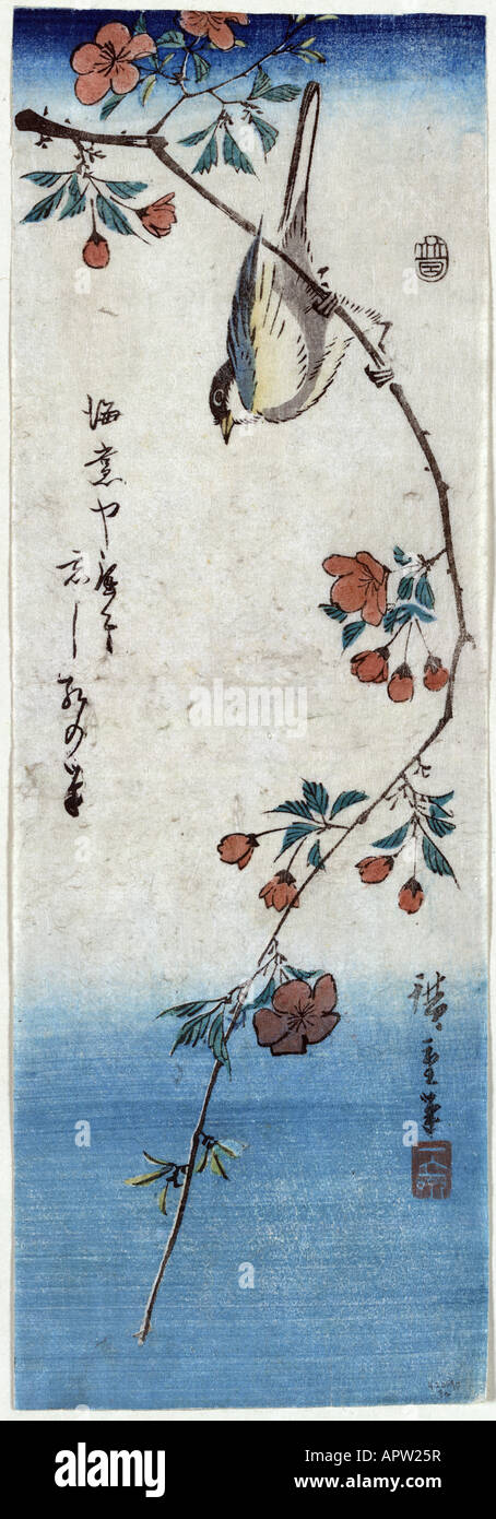 Kleiner Vogel auf einem Zweig der Kaidozakura Kaido ni shokin Stockfoto