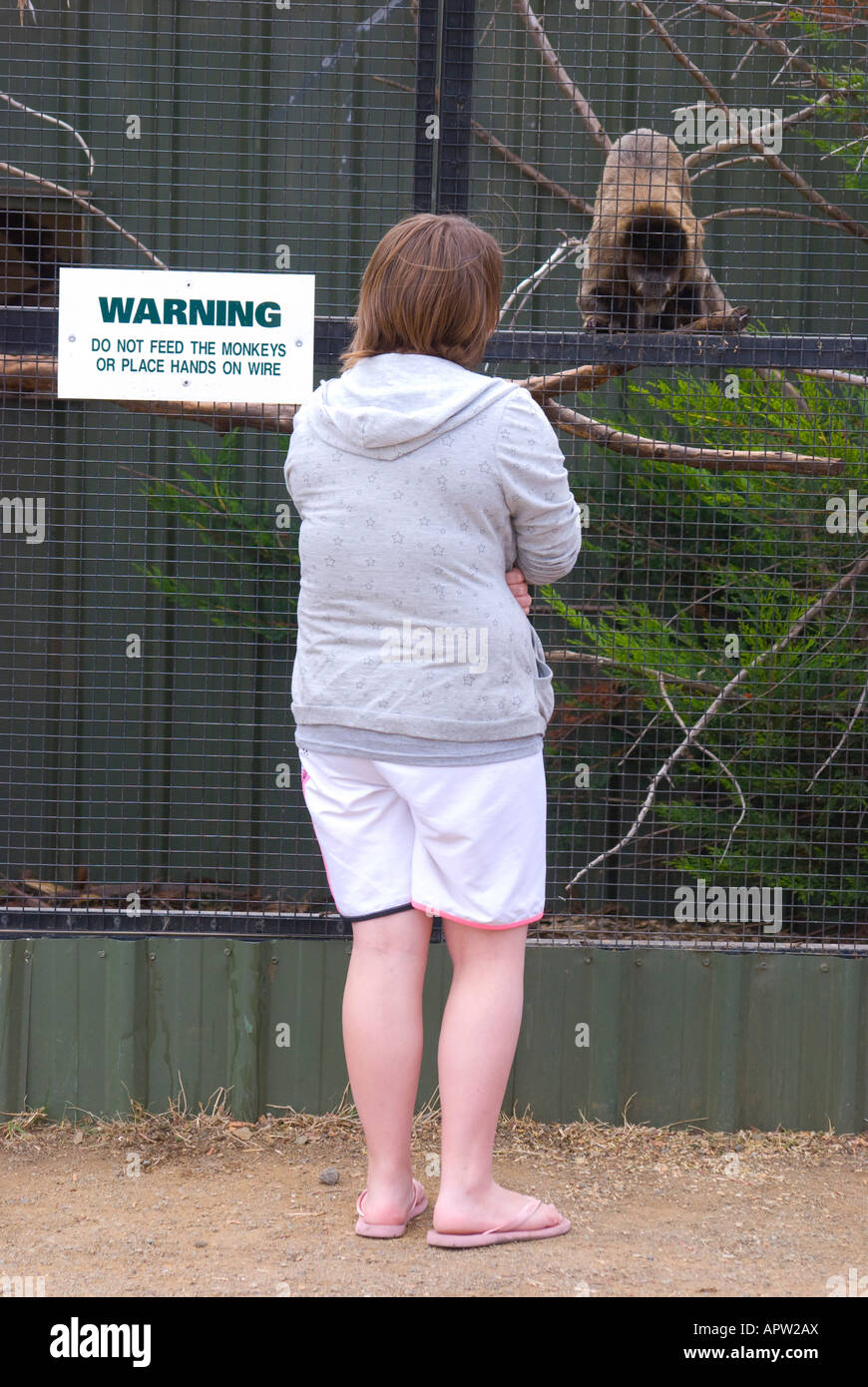 Besucher in einen Zoo beobachten Affen Stockfoto