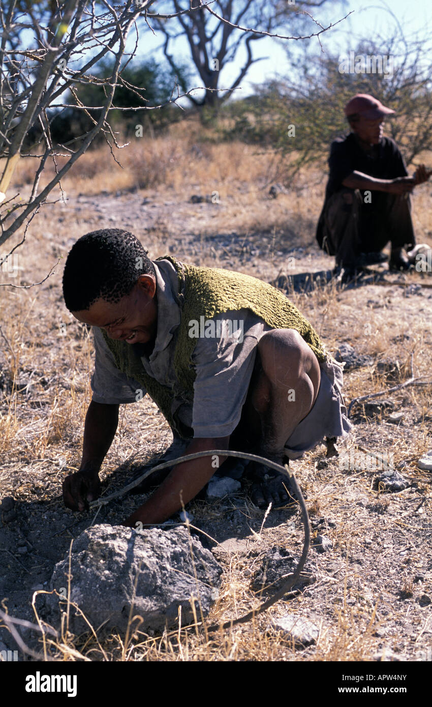 Einrichten von Vogel-Falle Namibia Bushman-Jäger Stockfoto