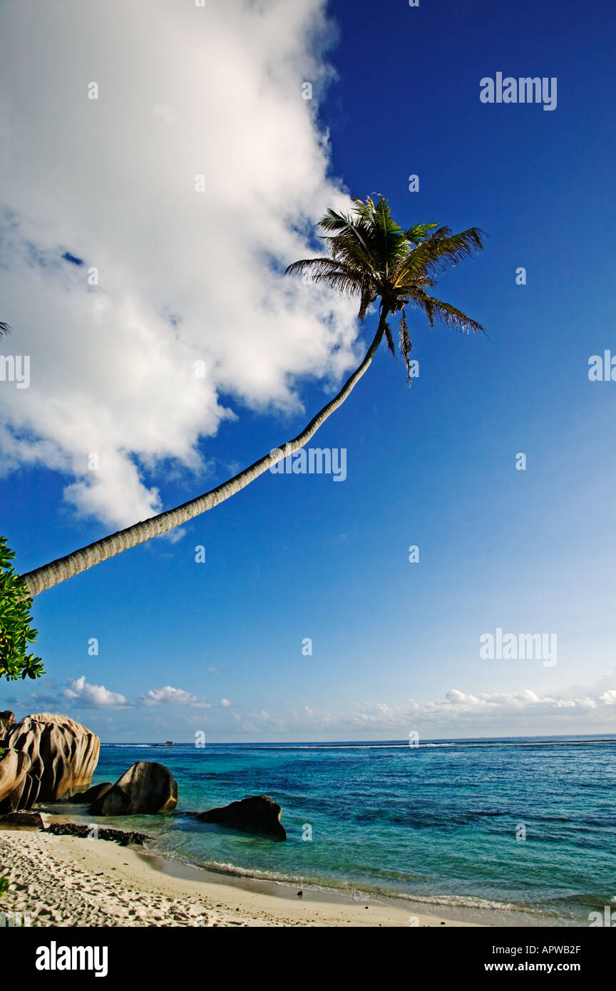 Kokos-Palmen und Strand-Szene La Digue Island-Seychellen Stockfoto