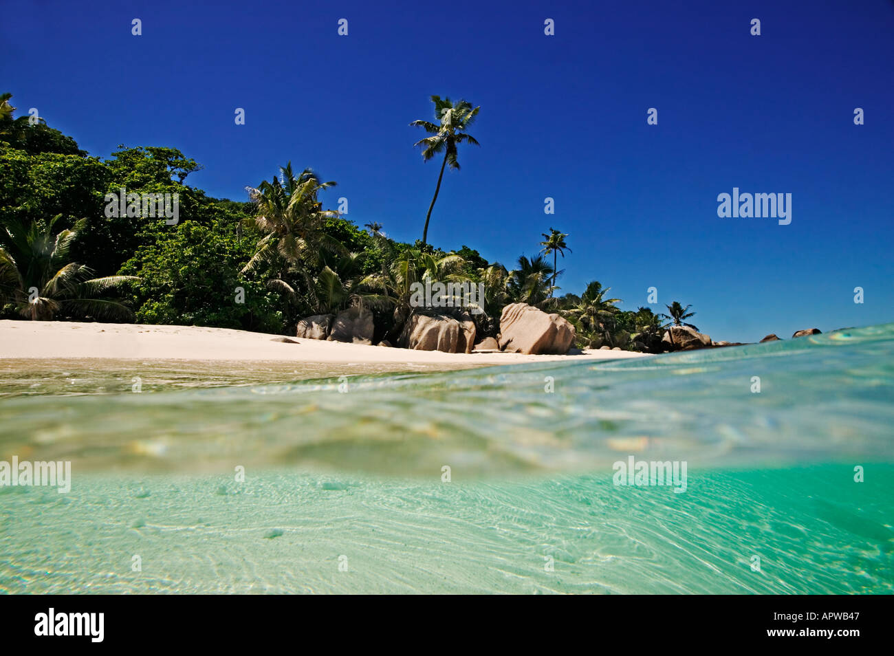 Blick auf Cousine Island aus dem Meer Seychellen Cousine Island Stockfoto
