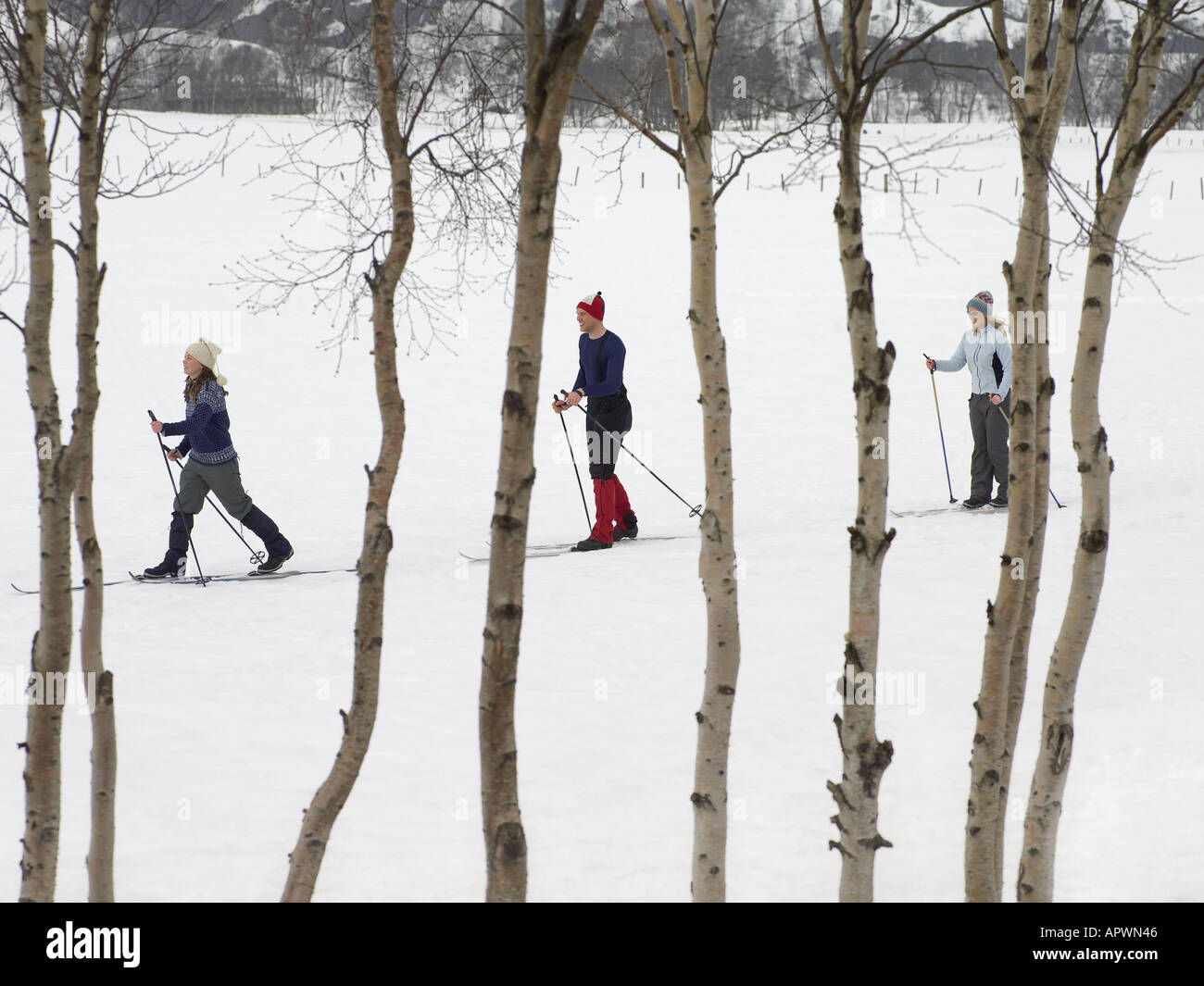 Skifahrer, die durch den Schnee wandern Stockfoto