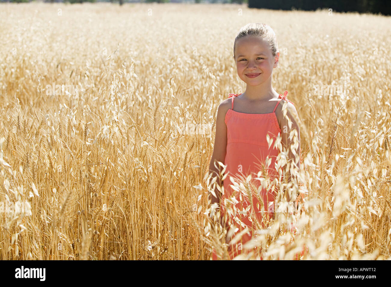 Mädchen in einem Feld von Weizen Stockfoto