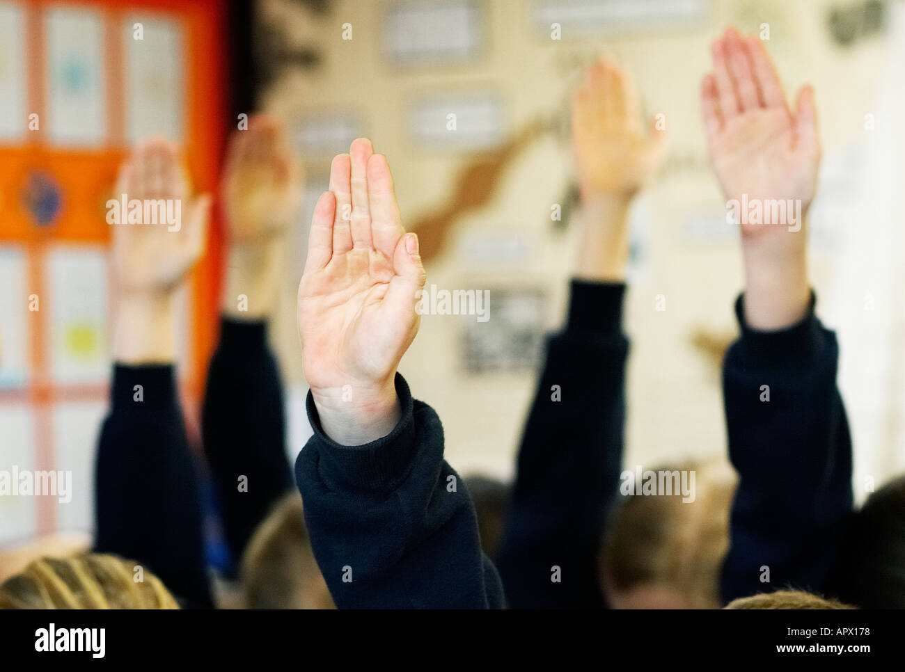 Schulkinder mit Hände hoch in die Luft wollen eine Frage zu beantworten Stockfoto