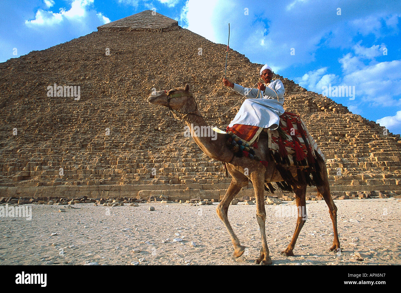 Beduinen auf einem Kamel, Dromedar vor den Pyramiden von Gizeh, Ägypten Stockfoto