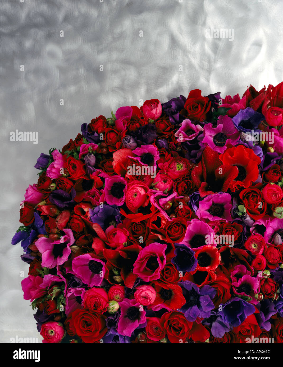 Blumen auf gebürstetem Stahl Stockfoto