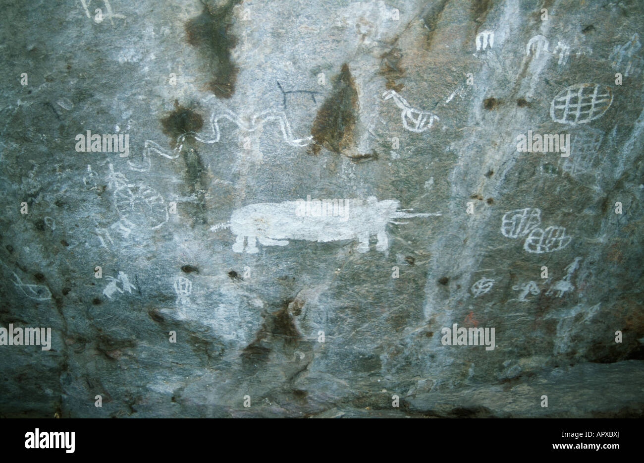 Rock-Malerei im Tierheim Weiß-Malerei von Tsodilo Hills zeigt ein Nashorn und eine Reihe von kreisförmigen geometrischen Formen Stockfoto