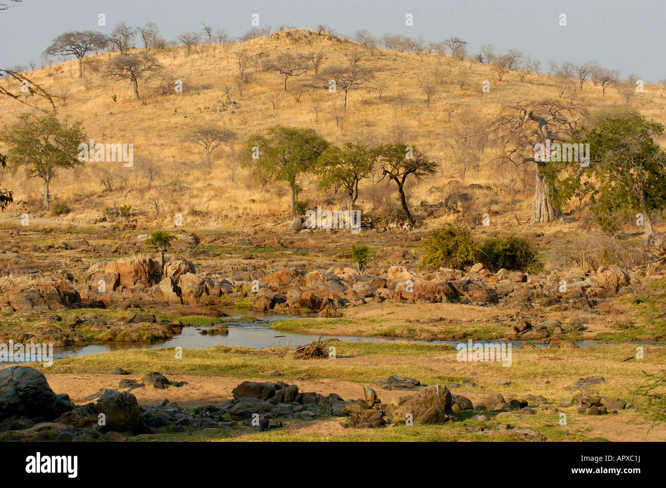 Malerische Aussicht auf einem Fluss durch einen trockenen Bereich im Ruaha Nationalpark Stockfoto