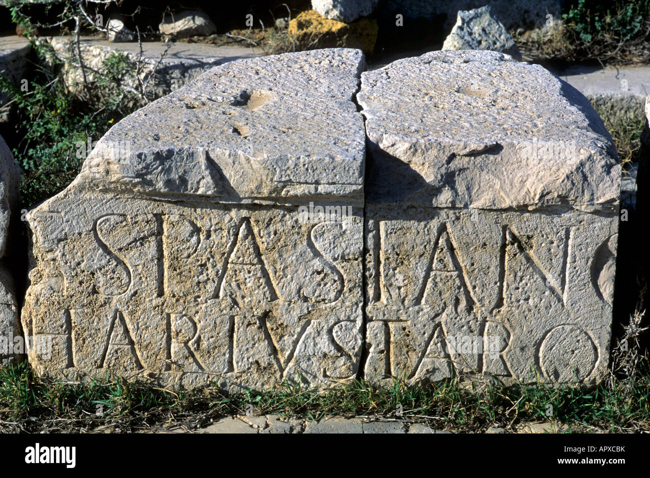 Stein mit Inschrift in Leptis Magna Ruinen Stockfoto