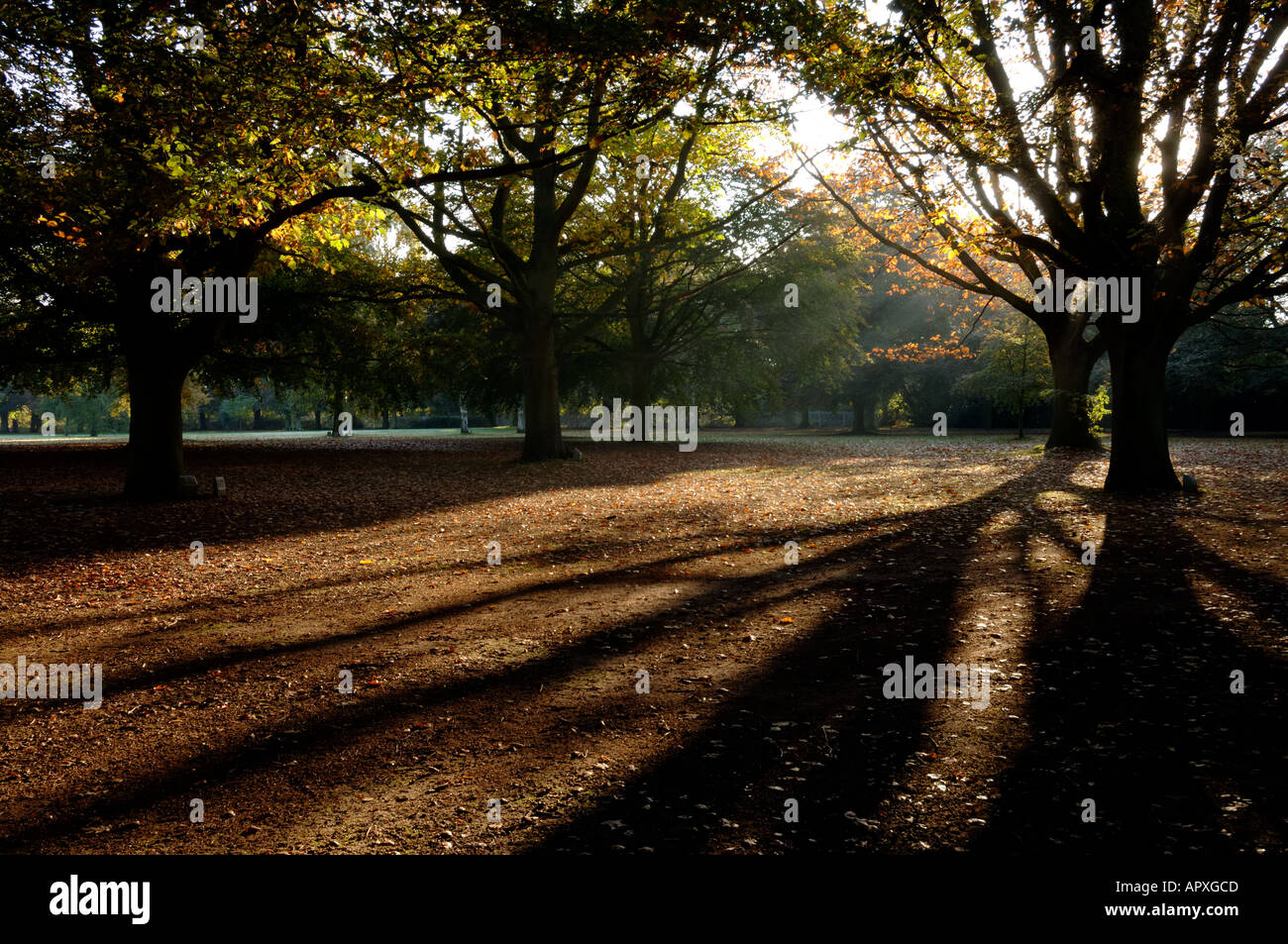 War Memorial Park Coventry England UK Stockfoto