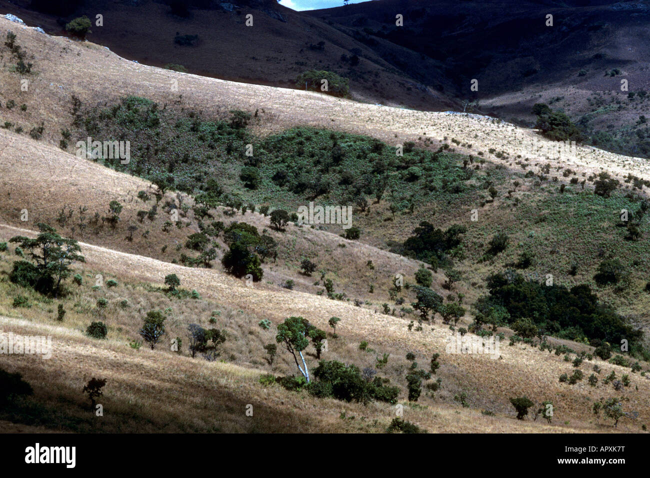 Malerische Aussicht des Nyika National Park Stockfoto