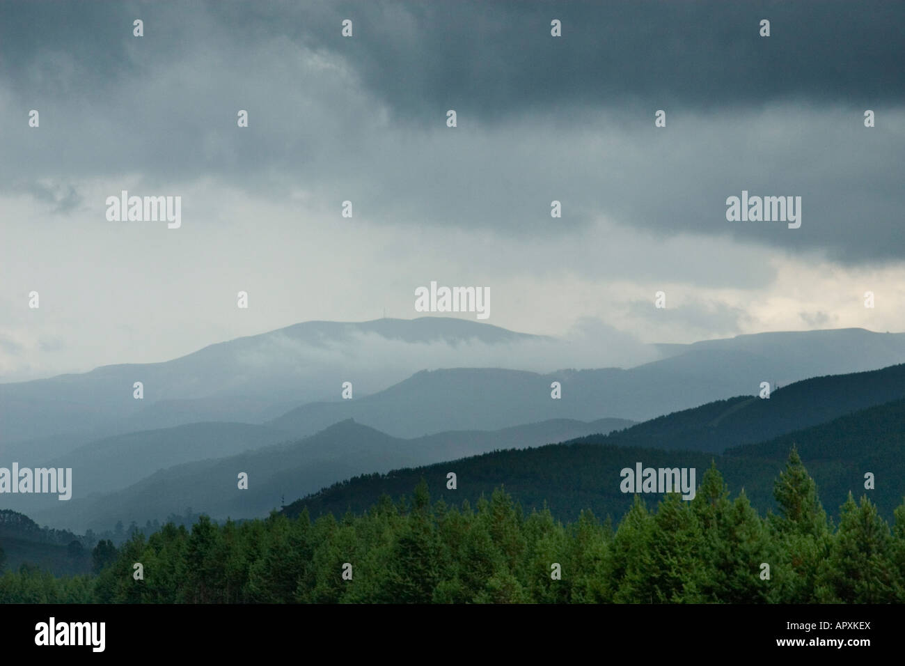 Nebligen Hügeln mit dunklen Wolken in der Nähe von Sabie auf die Böschung Mpumalanga Stockfoto