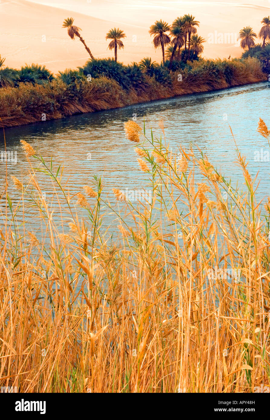 Ubari Seen, Sahara Wüste, Libyen, Nordafrika. Stockfoto Ubari Seen, Sahara Wüste, Libyen, Nordafrika. Stockfoto