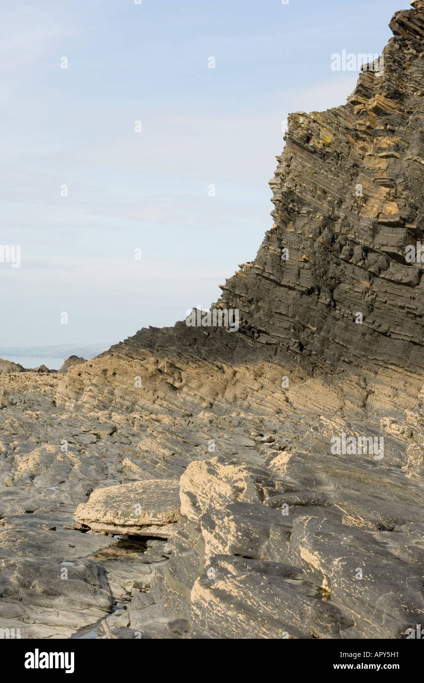 zeigt die Gesteinsschichten Schichten des sedimentären Küstenklippen Grütze Tonstein Aberystwyth Ceredigion Wales Stockfoto