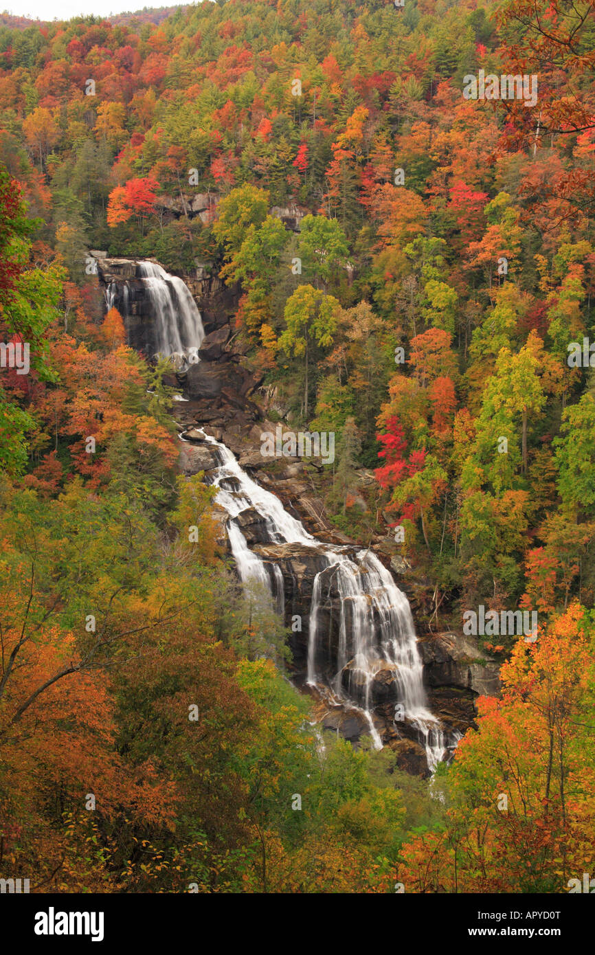 Whitewater Falls, Saphir, North Carolina, USA Stockfoto