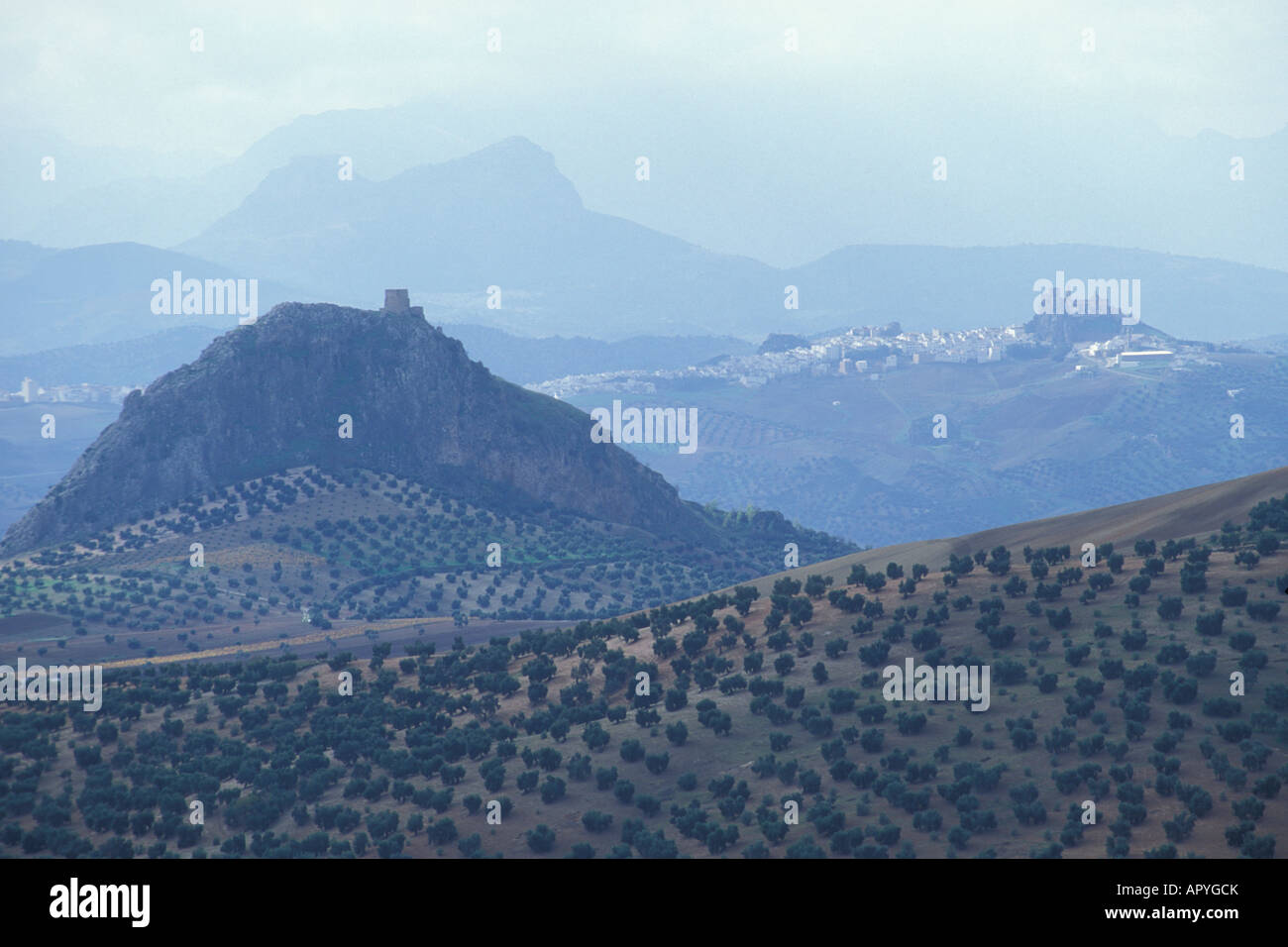 Blick Richtung Olvera, Cadiz, Spanien. Stockfoto