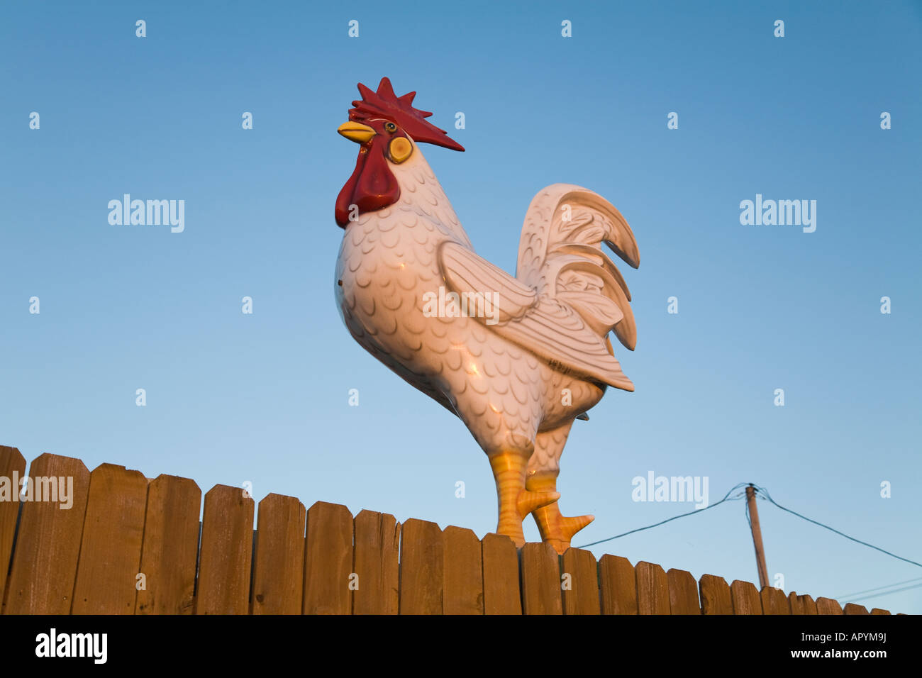 ILLINOIS Dixon große weiße Kunststoff-Hahn thront auf Zaun-Maskottchen für B B Y restaurant Stockfoto