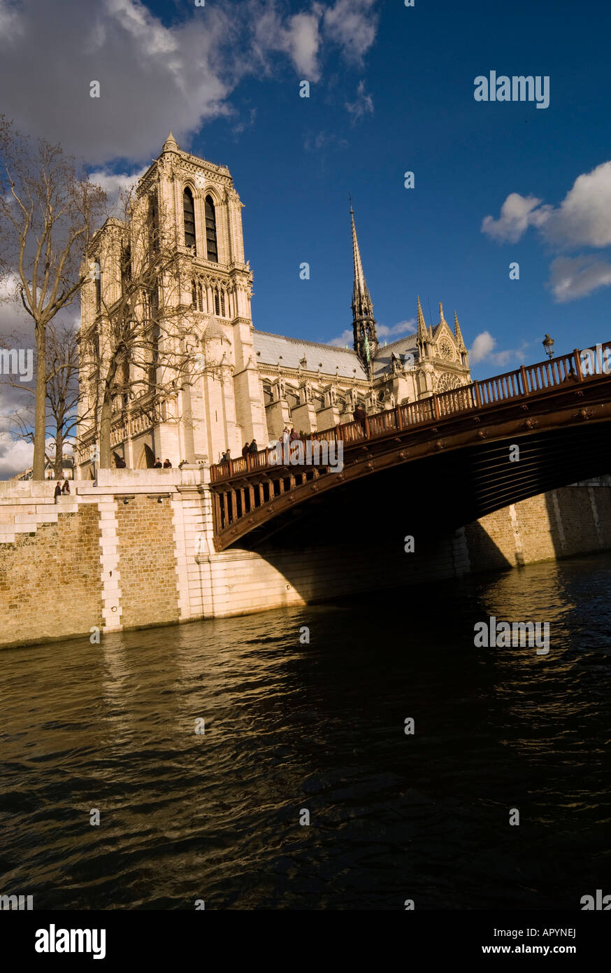 Notre Dame Kathedrale Pont au Double Seine Paris Frankreich Stockfoto